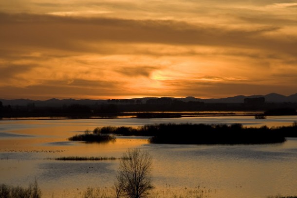 Parque Nacional de Las Tablas de Daimiel